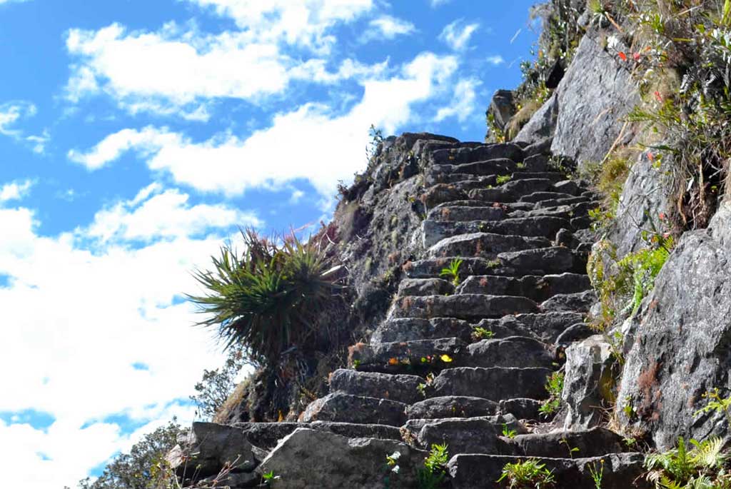 Inca Jungle 5 days - Huayna Picchu