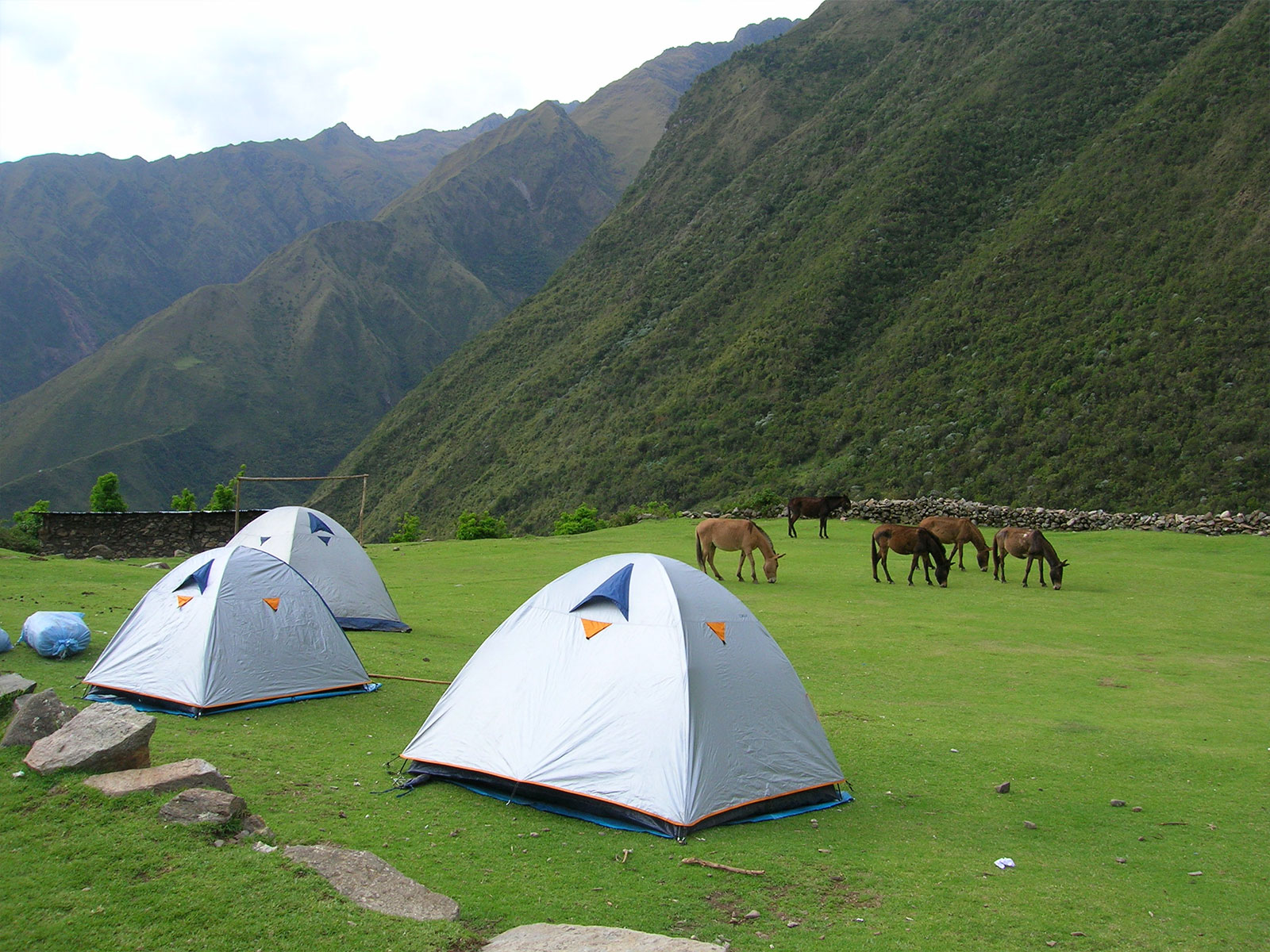 Choquequirao Trek