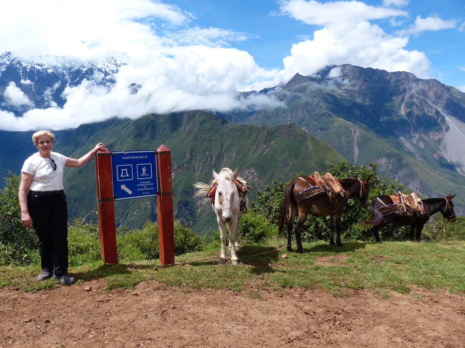 Choquequirao Trek