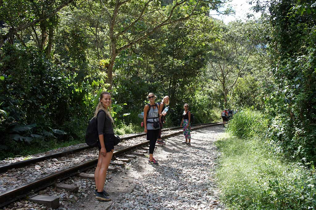 Inca Jungle Trek by Llactapata - Trekking from Hidroelectrica to Aguas Calientes